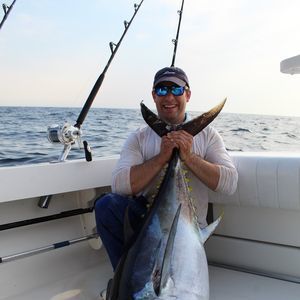 Meet your Posher, Joe